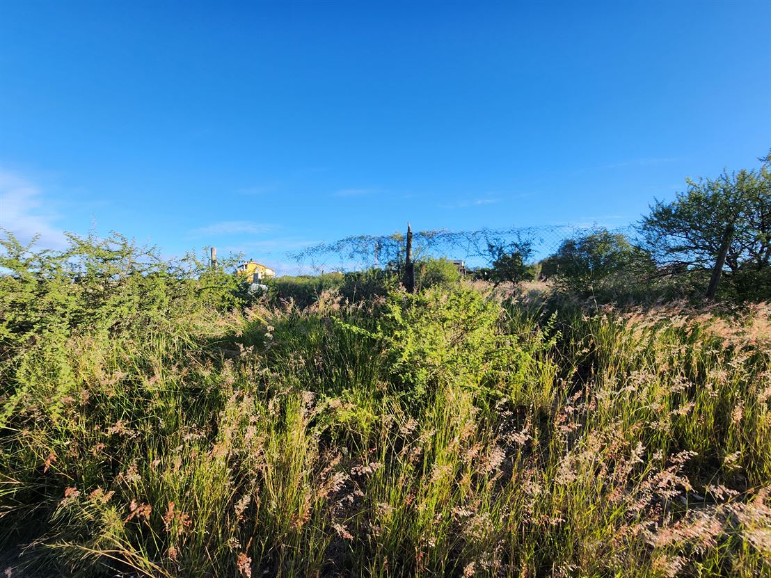 Oportunidad. Lote en Estancia Vieja