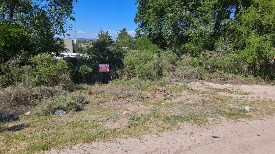 Lote sobre San Martín a metros del Bamba