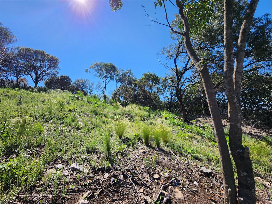 Lote en Tierra Alta